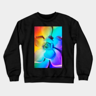 Rainbow echeveria Crewneck Sweatshirt